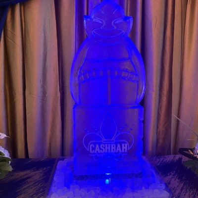 Cashbah STL University