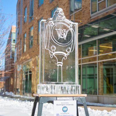 Washington university loop