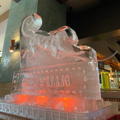 WhatsApp Image 2024-05-05 at 10.57.29 AM