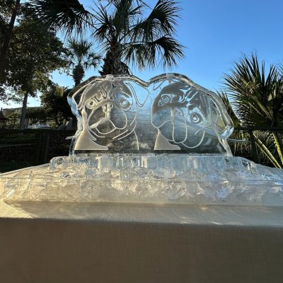 pug dogs wedding luge