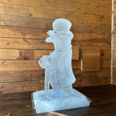 summer penguin