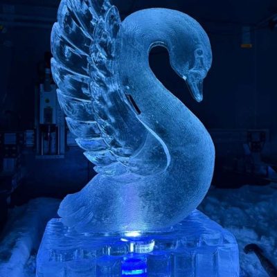 wedding swan