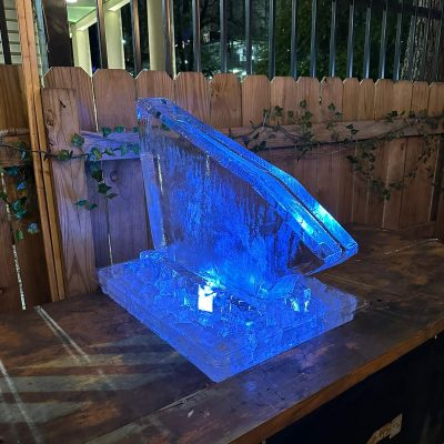 wedge luge